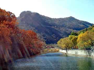 新澳天天开奖资料大全旅游团，上海排水板